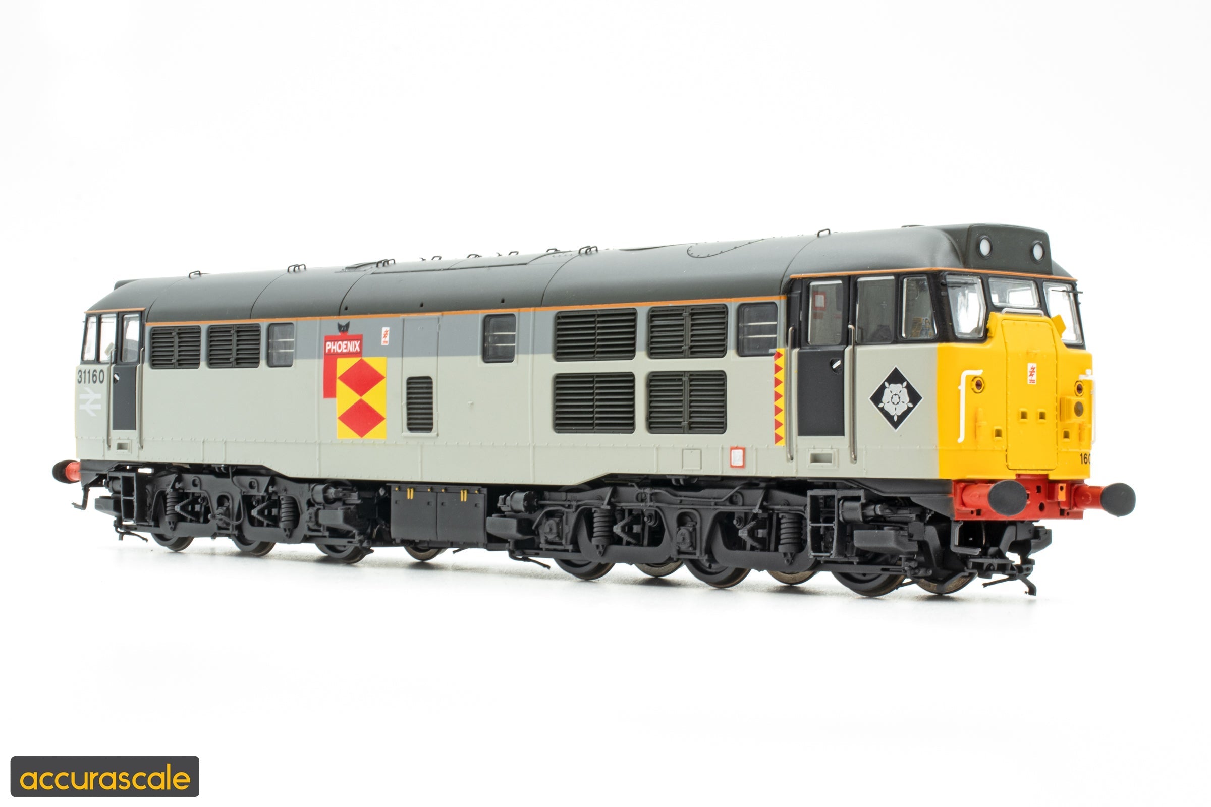The Phoenix Rises - Latest Accurascale Exclusive Class 31 Revealed!